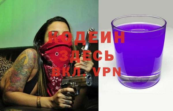 спиды Дмитриев