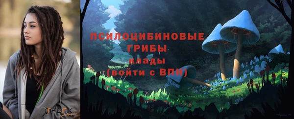 a pvp Гусев