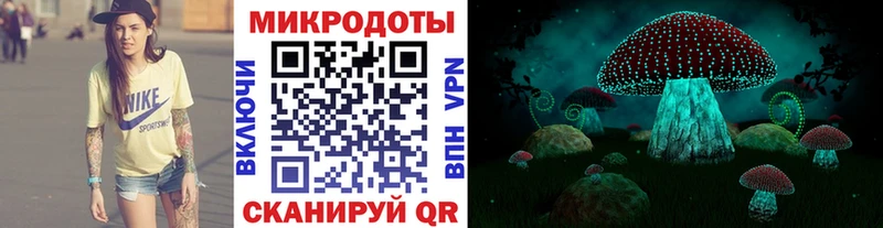Галлюциногенные грибы GOLDEN TEACHER  Купить закладки  Киселёвск 