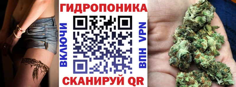 Купить  Киселёвск  Конопля LSD WEED 